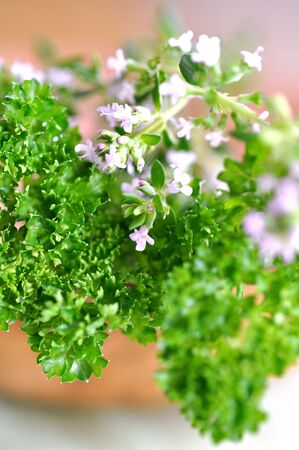 Fresh herbs in a wooden bowl の写真素材