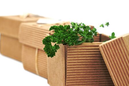 Fresh herbs in a cardboard box
