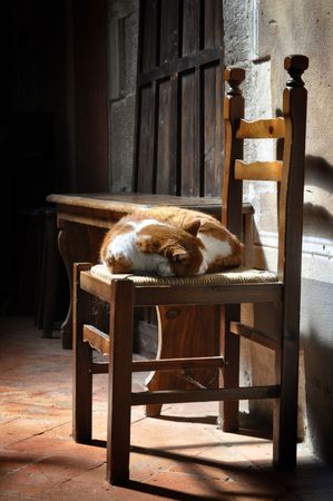 Cat sleeping on a church chairの写真素材