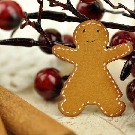 Paper gingerbread man, cinnamon stick and red berry