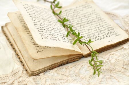 Willow twig on a diaryの写真素材