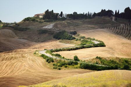 Summer landscape in Tuscanyの写真素材