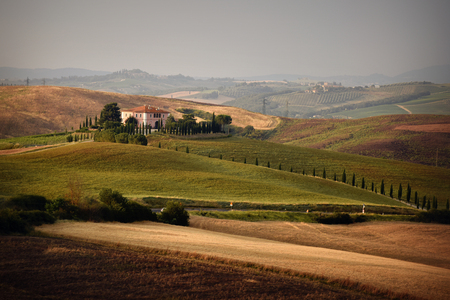 Typical Tuscan landscape in Summerの写真素材