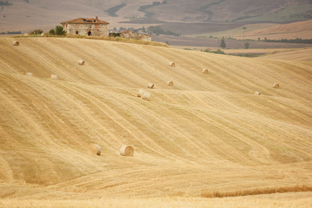 Old farmhouse on hill with mowed farm field, Tuscanyの写真素材