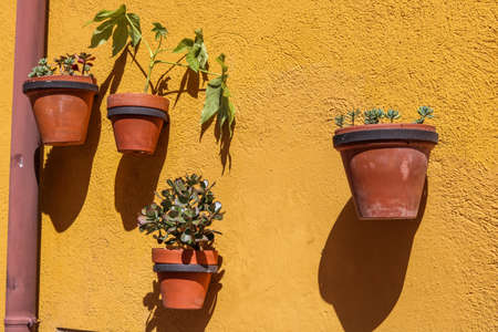 Flower pot decorations on a street in Tarragona, Spain. The photo was taken in June 2018 during the Mediterranean games in Tarragonaの写真素材
