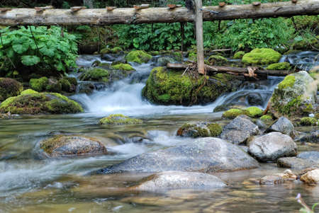 Potok Repiskejの写真素材