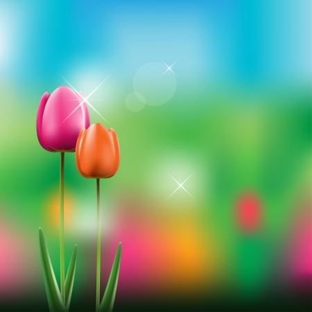 Tulipsのイラスト素材
