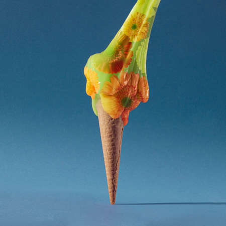 Gerber daisies flower square composition on flat lay light background with green leaves. Soft and simple design.の写真素材