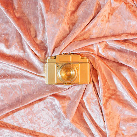 Gerber daisies flower square composition on flat lay light background with green leaves. Soft and simple design.の写真素材