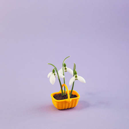 Gerber daisies flower square composition on flat lay light background with green leaves. Soft and simple design.の写真素材
