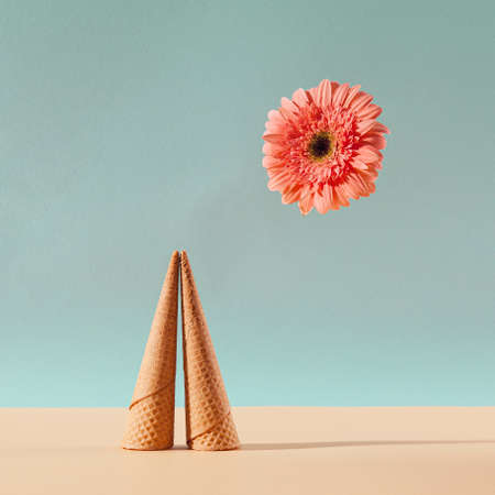 Gerber daisies flower square composition on flat lay light background with green leaves. Soft and simple design.の写真素材