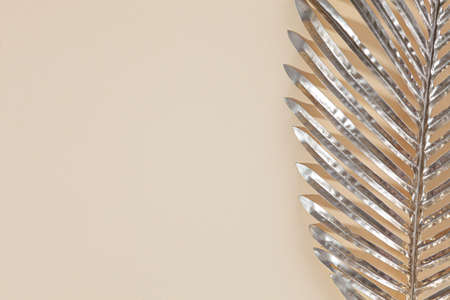 Gerber daisies flower square composition on flat lay light background with green leaves. Soft and simple design.の写真素材