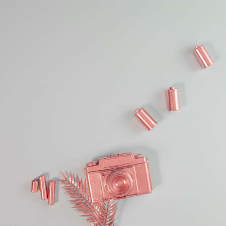 Gerber daisies flower square composition on flat lay light background with green leaves. Soft and simple design.の写真素材