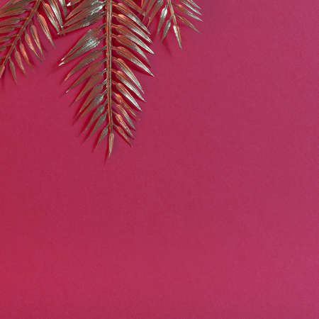 Gerber daisies flower square composition on flat lay light background with green leaves. Soft and simple design.の写真素材