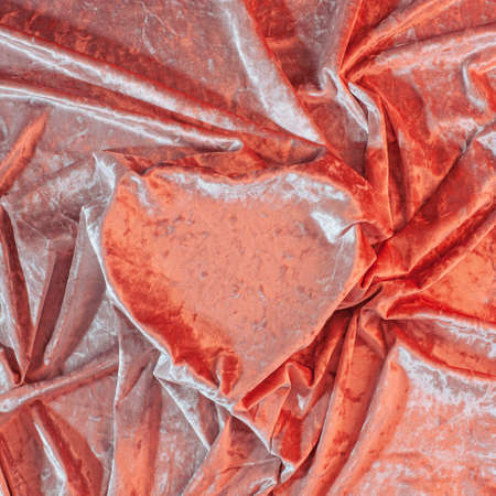 Gerber daisies flower square composition on flat lay light background with green leaves. Soft and simple design.の写真素材