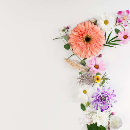 Gerber daisies flower square composition on flat lay light background with green leaves. Soft and simple design.の写真素材