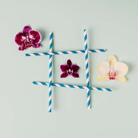 Tic Tac Toe with straws and orchid flowers on pastel light green background.の写真素材