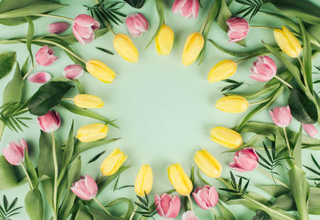 Yellow and pink tulip flowers circular pattern and leaves foliage on light mint background. Flat lay composition with soft light and copy space.の写真素材
