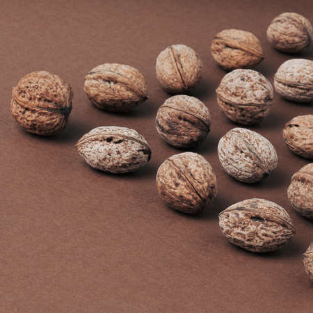 Angle pattern of walnuts on chocolate brown background. Simple square composition.の写真素材