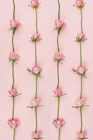 Pink roses in row pattern with small flowers. Simple flat lay repetition on soft light.の写真素材