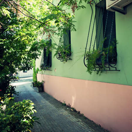 Green and pink facadeの写真素材