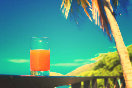 Papaya juice in summer landscapeの写真素材