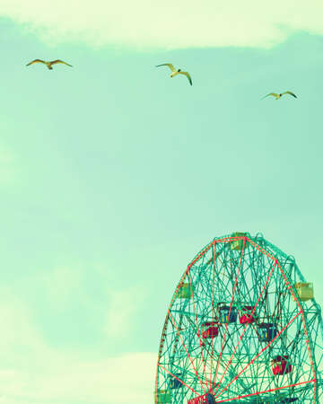 Ferris wheel and seagullsの写真素材