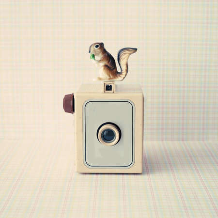 Vintage analogue camera with a squirrelの写真素材