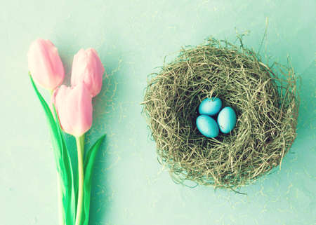 Pink tulips and bird nest