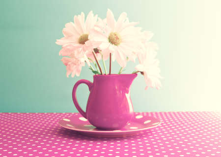 Daisies on a red vaseの写真素材