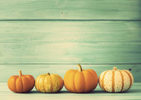 Pumpkins over turquoise woodの写真素材