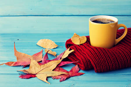 Coffee cup over red scarf and autumn leafs