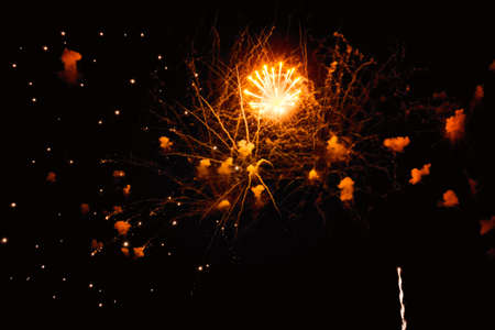 Colorful fireworks in the night skyの写真素材