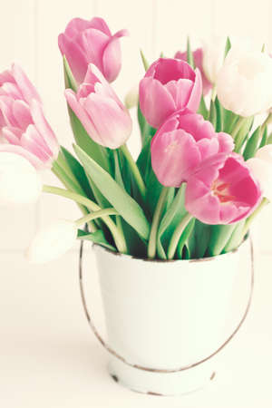 Pink and white tulips in a vintage white tin bucketの写真素材