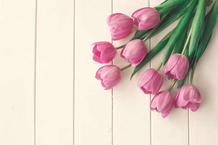 Pink tulips over white woodの写真素材
