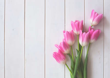 Pink tulips over white woodの写真素材