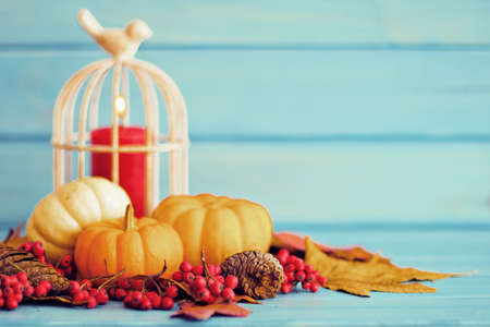 Pumpkins and red candle over autumn leafsの写真素材