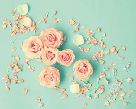Pink roses over mint backgroundの写真素材