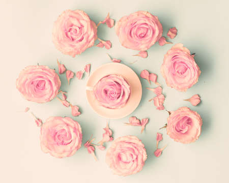 Pink roses over pastel backgroundの写真素材