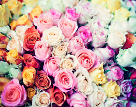 Vintage bouquets of rosesの写真素材