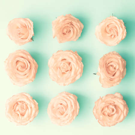 Pink roses on mint flat layの写真素材