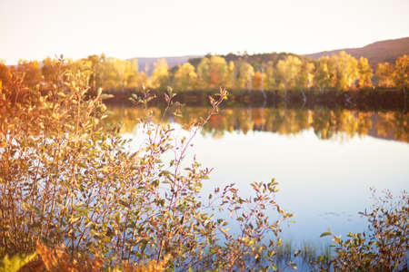 Vintage autumn or fall foliageの写真素材