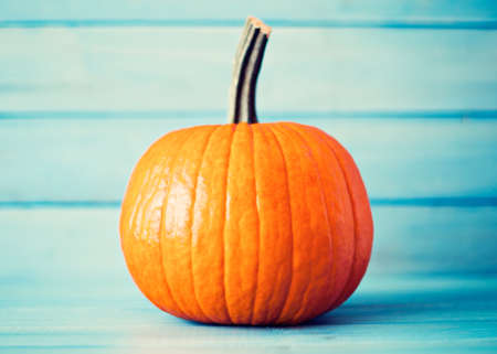 Pumpkin over turquoise colored woodの写真素材