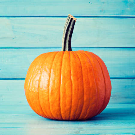 Pumpkin over turquoise colored woodの写真素材