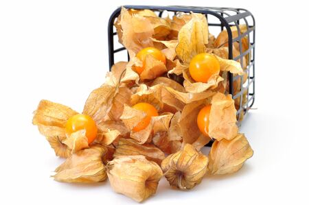 Fresh physalis on white background の写真素材