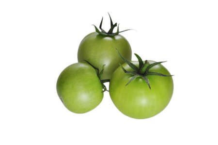 green tomatoの写真素材