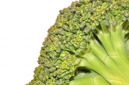 |Green Broccoli isolated on white backgroundの写真素材