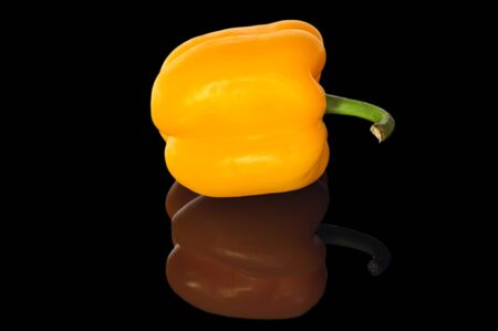 Paprika on white background with shadowの写真素材