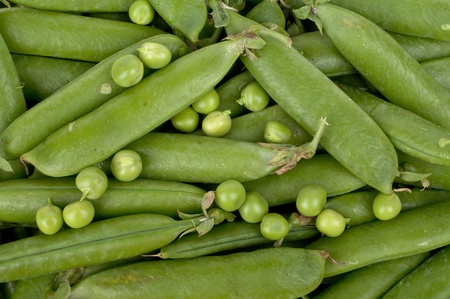 Fresh juicy Pods of peas on a white background.の写真素材