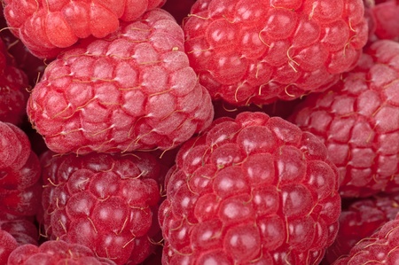Fresh, sweet, large raspberry as a background